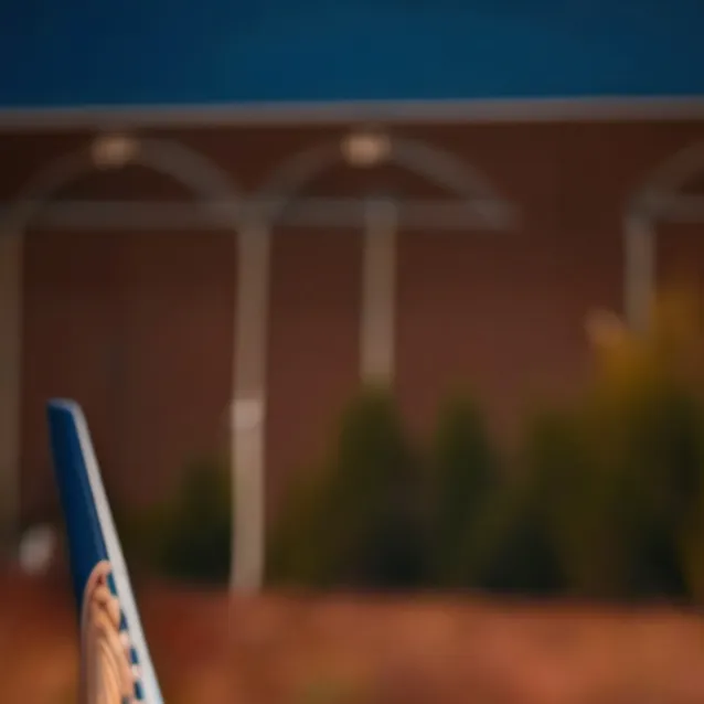 chat with ai character: united 787-10