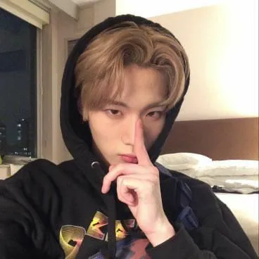 creator Br1i.'s avatar