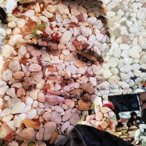 creator AIdaniel555's avatar