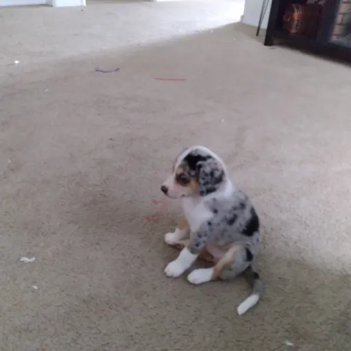 creator I Like The Number5's avatar