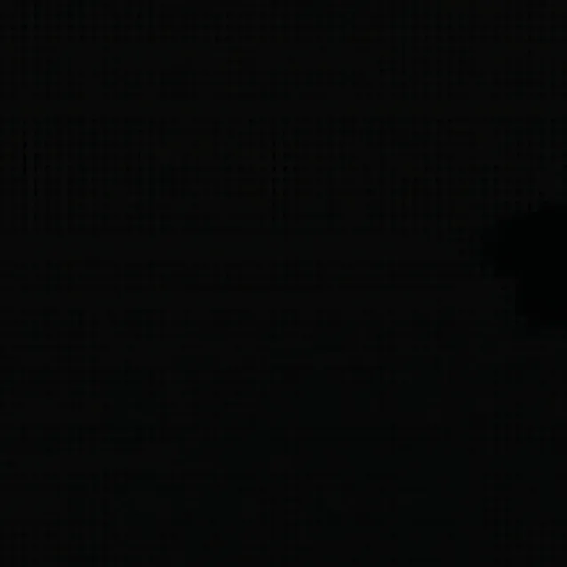 chat with ai character: picklxel