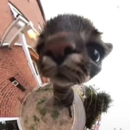 talkie's author avatar