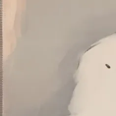 chat with ai character: ururur