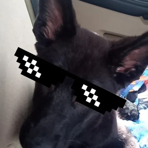 creator ♡Casperrrr♡'s avatar