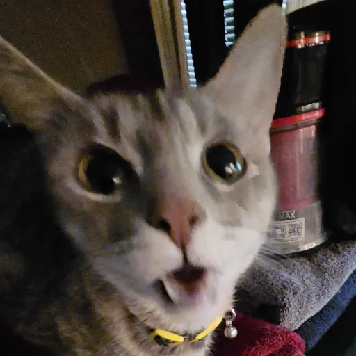 creator TalkativeDuud's avatar