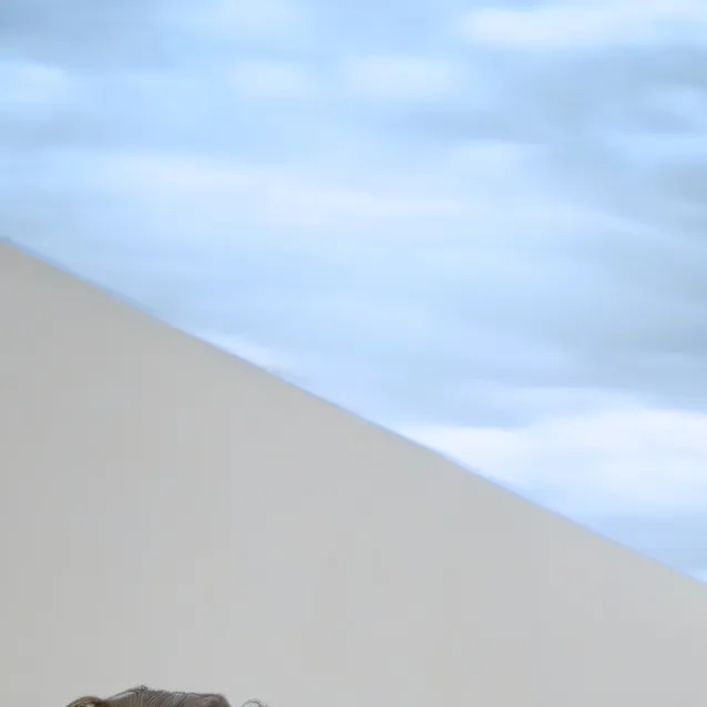 chat with ai character: Kyle