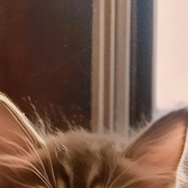 chat with ai character: itty bitty kitty