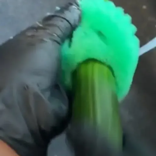 creator BlondieBoy's avatar