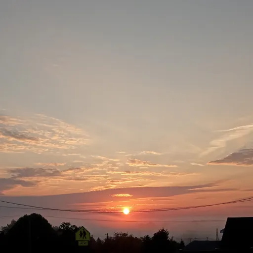 creator raven❤y's avatar