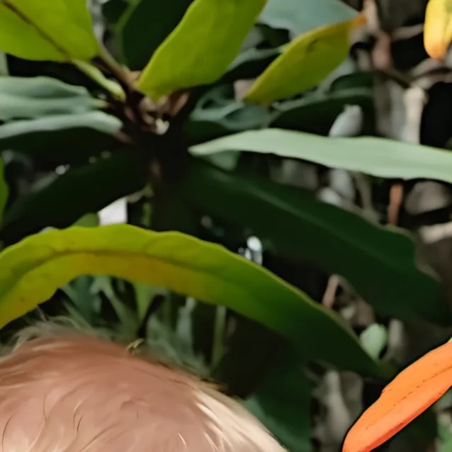 chat with ai character: Josiah