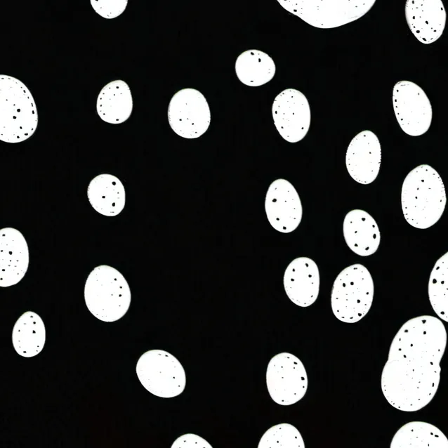 chat with ai character: JUMBLED WORDS