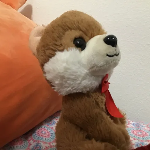 creator Vang's avatar