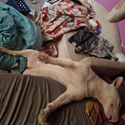 creator 304's avatar