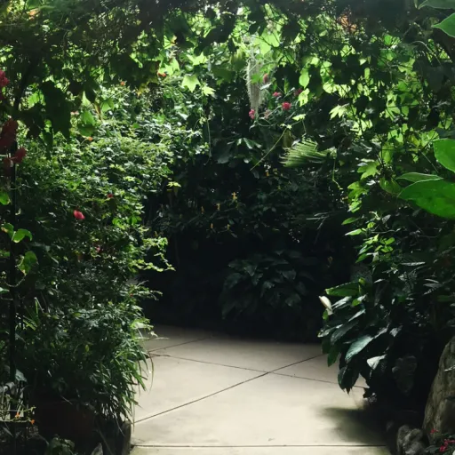 creator DonutZ's avatar