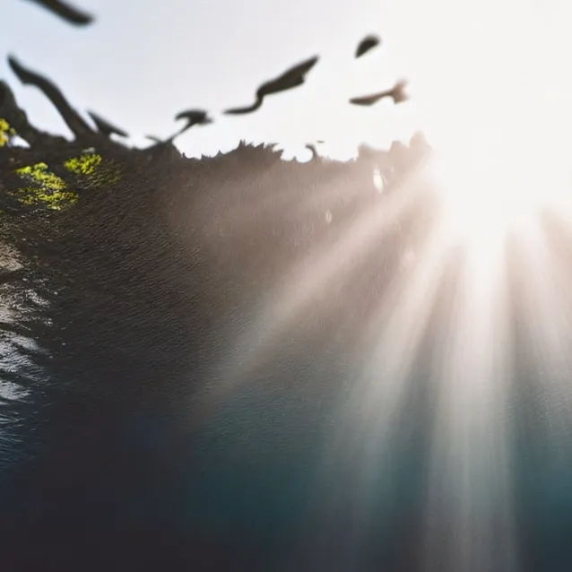 chat with ai character: sundrop siren 