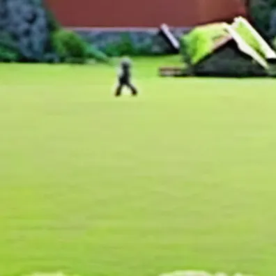 chat with ai character: Group of people