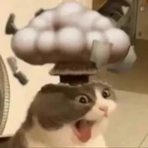 creator Rokilo's avatar