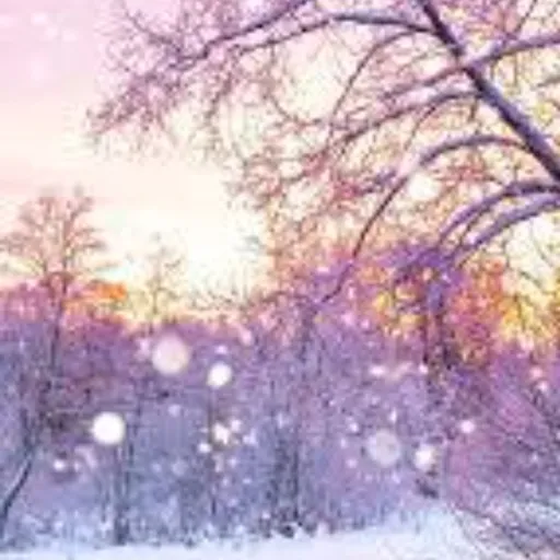 creator ChloeFairyLoveLand's avatar