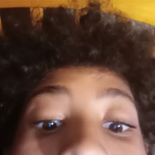 creator elan_slays's avatar