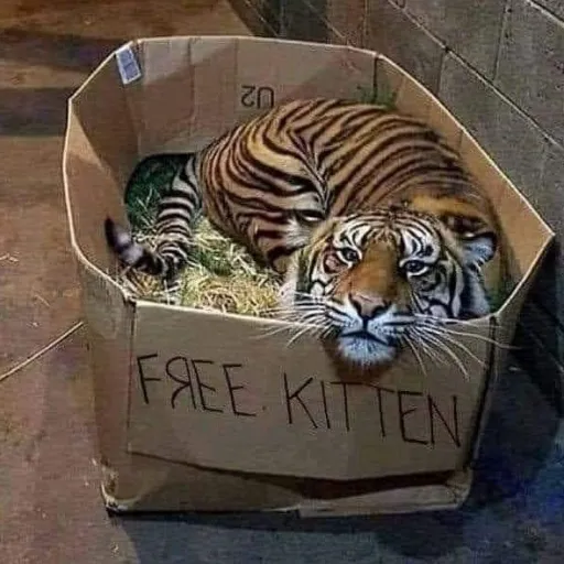 creator Cocothepoco's avatar