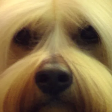 chat with ai character: yesica 