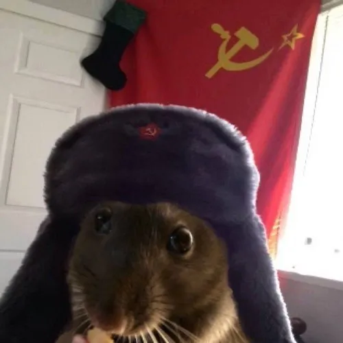 creator x Joseph x's avatar