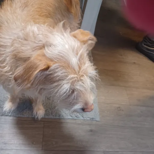 creator Talkior-plx4hzlZ's avatar