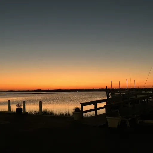 creator 🎀𝙸𝚟𝚎𝚜T🎀's avatar