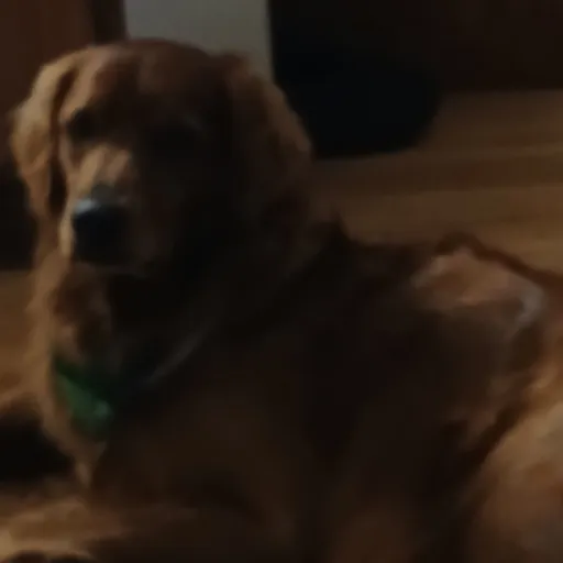 creator Sleepyboi♡♡♡'s avatar