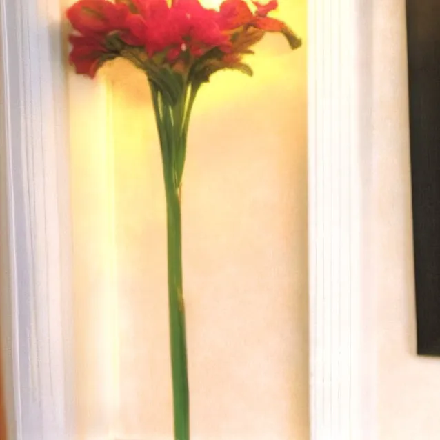 chat with ai character: Sarah Brightman 