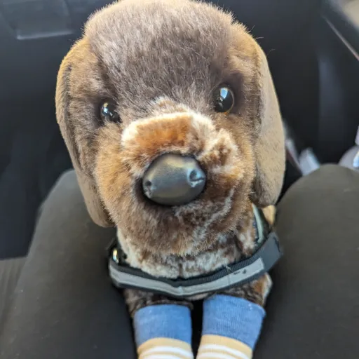 creator that.essa.girl2's avatar