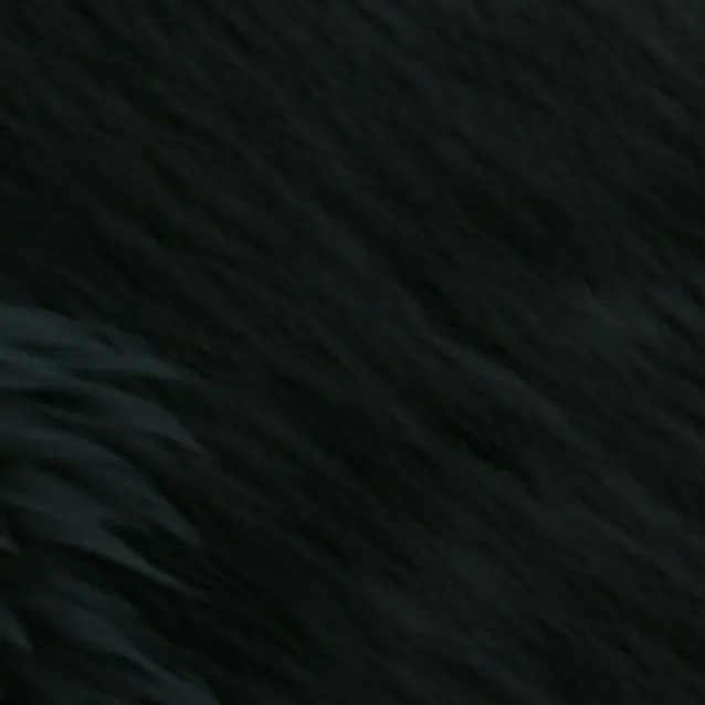 chat with ai character: Vent