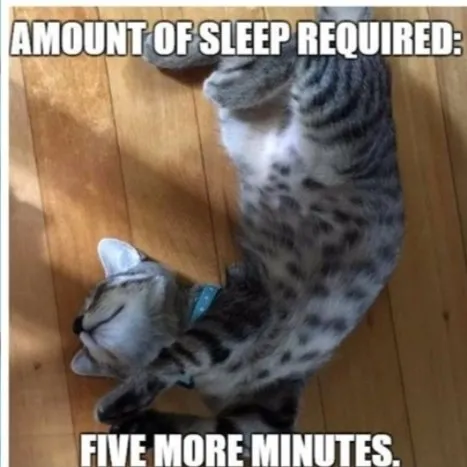 creator ☕️ 💤Insomniac💤☕️'s avatar