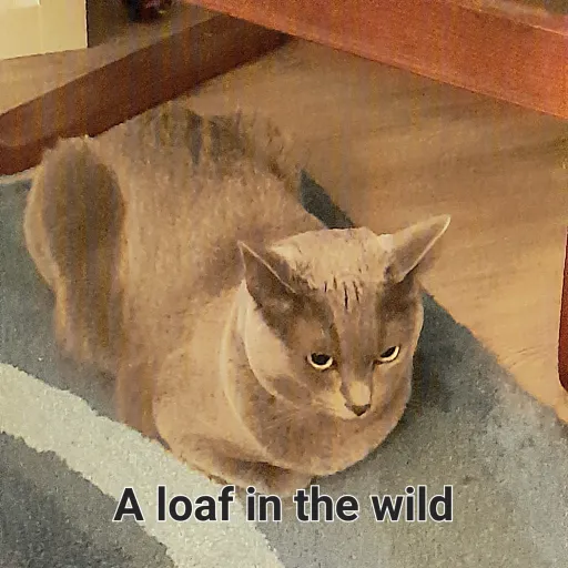 creator YEEBEZ's avatar