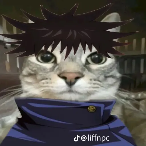 creator Boomsonic_cookie's avatar