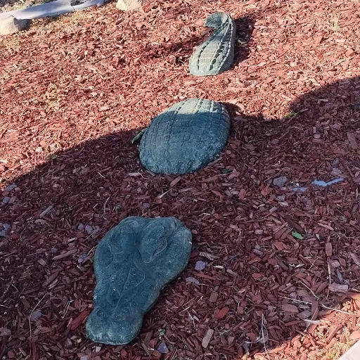 creator Lily Stoe's avatar