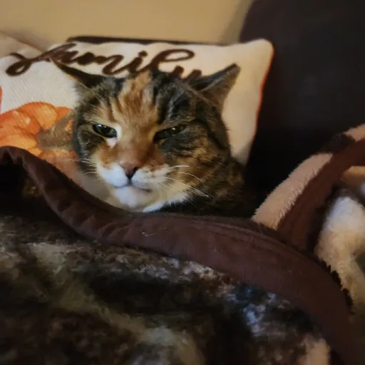 creator Talkior-JmQjGihn's avatar