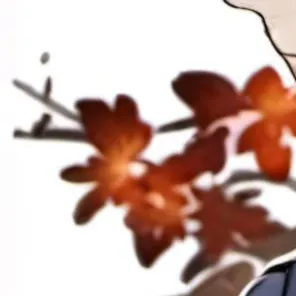 chat with ai character: ❃𝑬𝒍𝒊𝒋𝒂𝒉❃