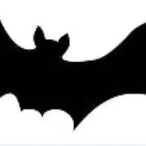 chat with ai character: idk trying new