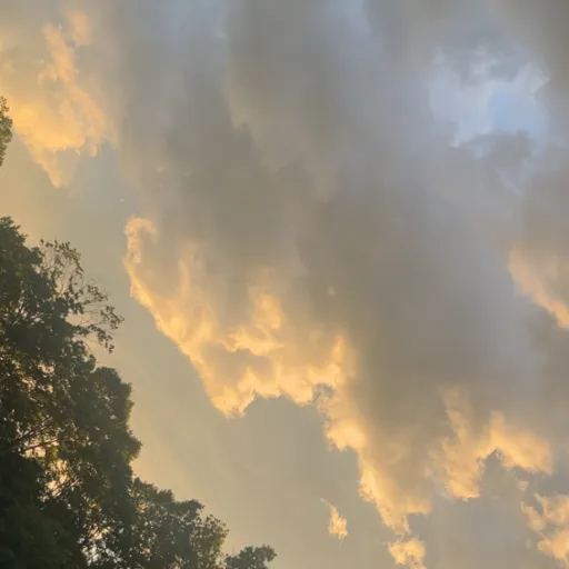 creator PsychoCutie's avatar