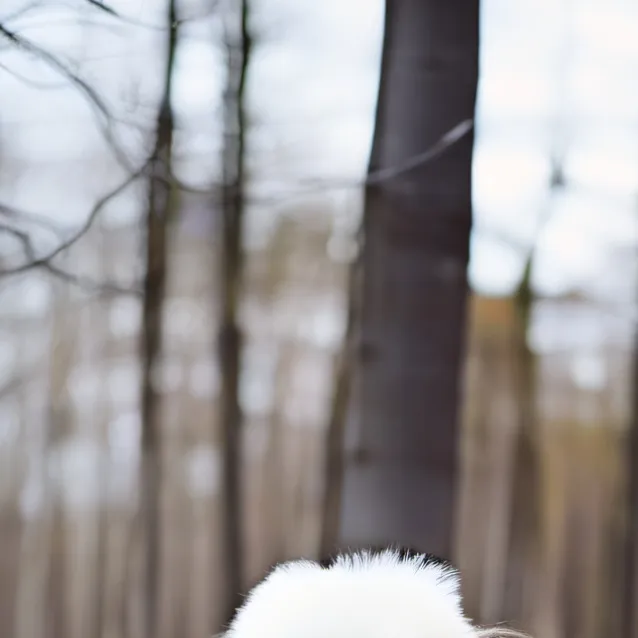 chat with ai character: you pick