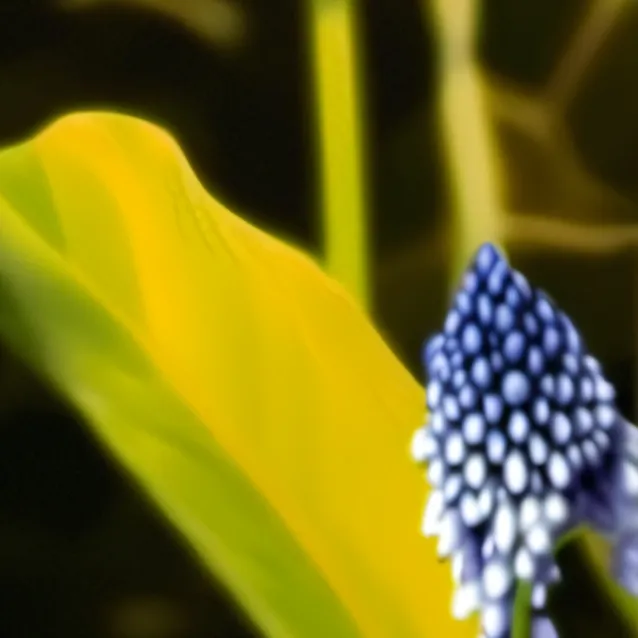 chat with ai character: grass