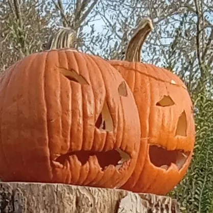 creator Talkior-C5TYPHkl's avatar