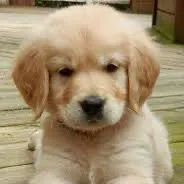 creator Talkior-nIOdZHD9's avatar