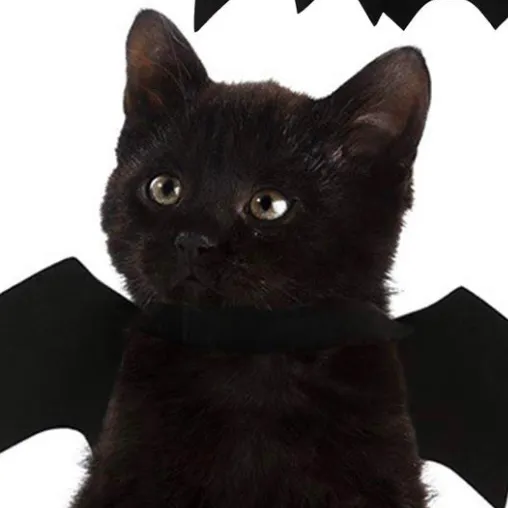 creator Hot people creater's avatar