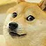 creator Doge0's avatar