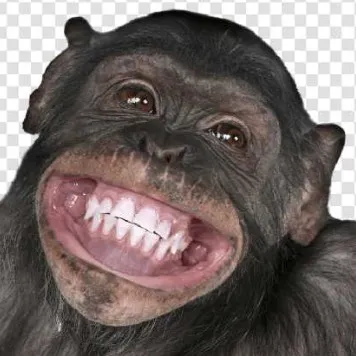 creator Talkior-IXuW5wor's avatar