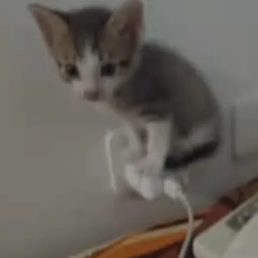 creator ‼️QUIT‼️'s avatar