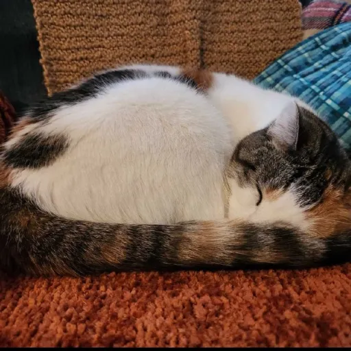 creator angel dust23489's avatar