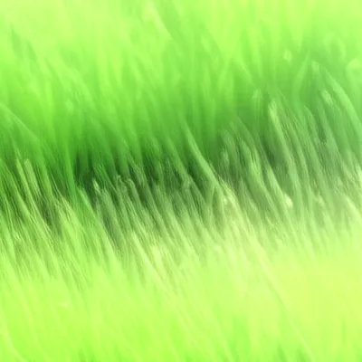 chat with ai character: Grass v2